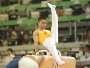 25届奥运会男子自由体操冠军--李小双