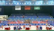 第48届世乒赛团体赛开幕式在不莱梅隆重举行