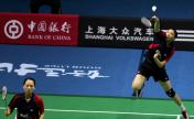 2007年国际羽毛球邀请赛  杨维/张洁雯入围女双八强