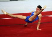 “好运北京”2007年体操国际邀请赛