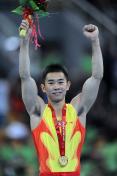 十一运会体操男子跳马 江西选手陆斌夺冠