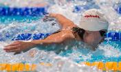 游泳世锦赛女子200米蝶泳 刘子歌焦刘洋携手进决赛