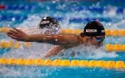 游泳世锦赛男400个混决赛 日本选手濑户大也夺金