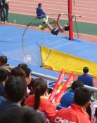 第六届东亚运动会男子撑竿跳高场景
