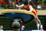 东亚运动会体操最后五个单项  中国获4枚金牌